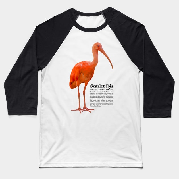Scarlet ibis tropical bird black text Baseball T-Shirt by Ornamentum